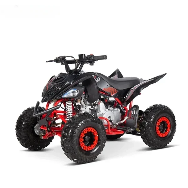 110cc ATV 2WD/Chain Drive War Eagle Disc brake,F-N-R Off Road ATV Quad bike
