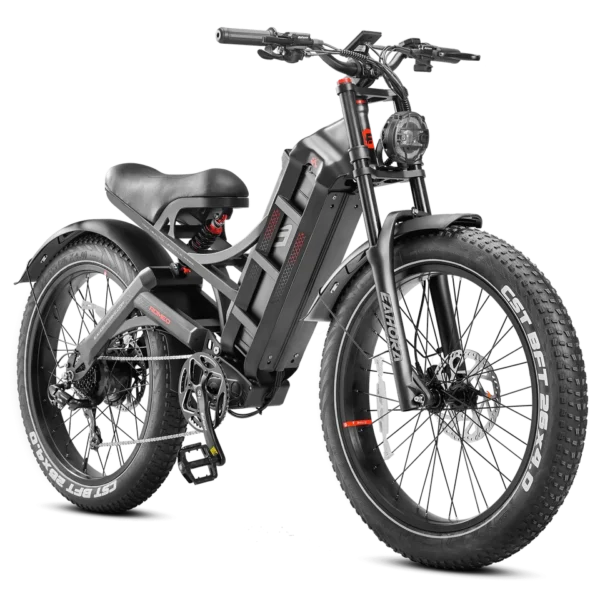 latest electric bicycle Eahora 2000W Fatbike Ebike Electric Fat Tire Mountain E Hybrid Cargo Dirt Bike