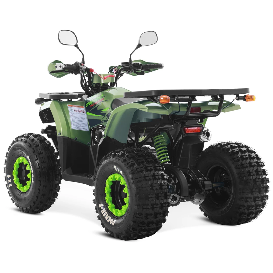 Tao Motor 2025 New Off Road Farm Cheap 4x2 ATV Quad Bike Gas Powered Cuatrimoto Quadricycle Automatic Chain Drive ATV 125cc - Image 4
