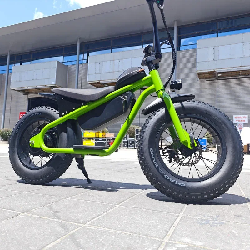 Off-road Electric Vehicle 48V350W High Performance 16 Inch Fat Tires Riding More Stable Electric Dirt Bike For Kids Ebike - Image 2