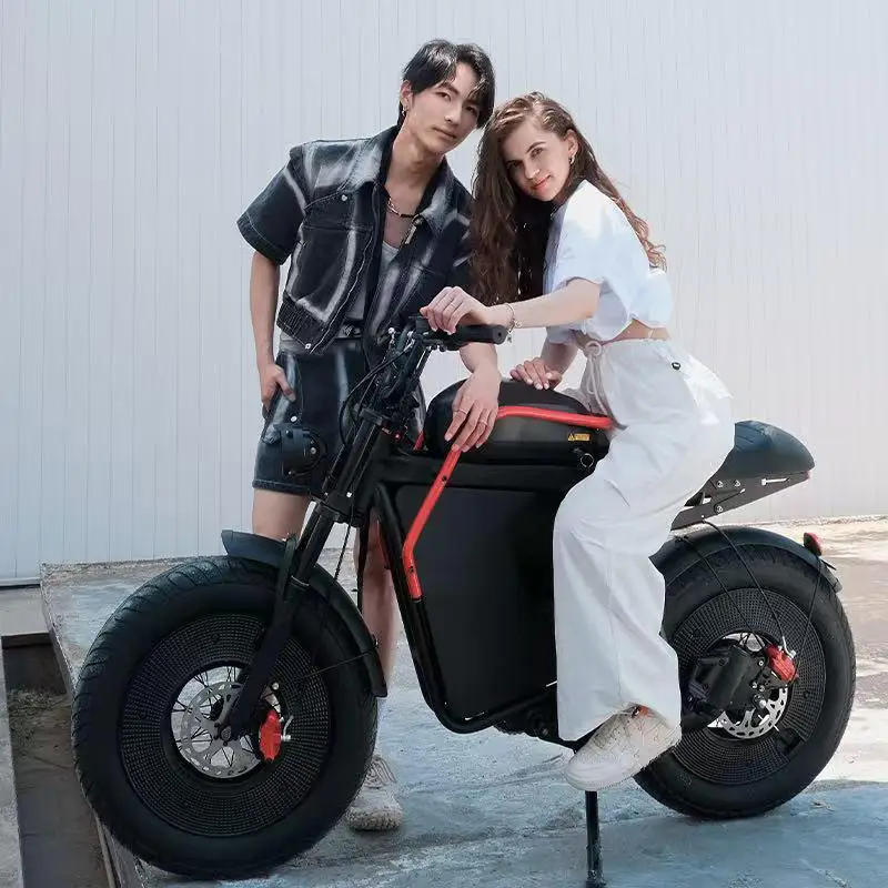 Adult electric bicycle 1000W motor 48V20AH battery mountain electric bike aluminum alloy frame 20*5.0 fat tire off-road E-bike - Image 5