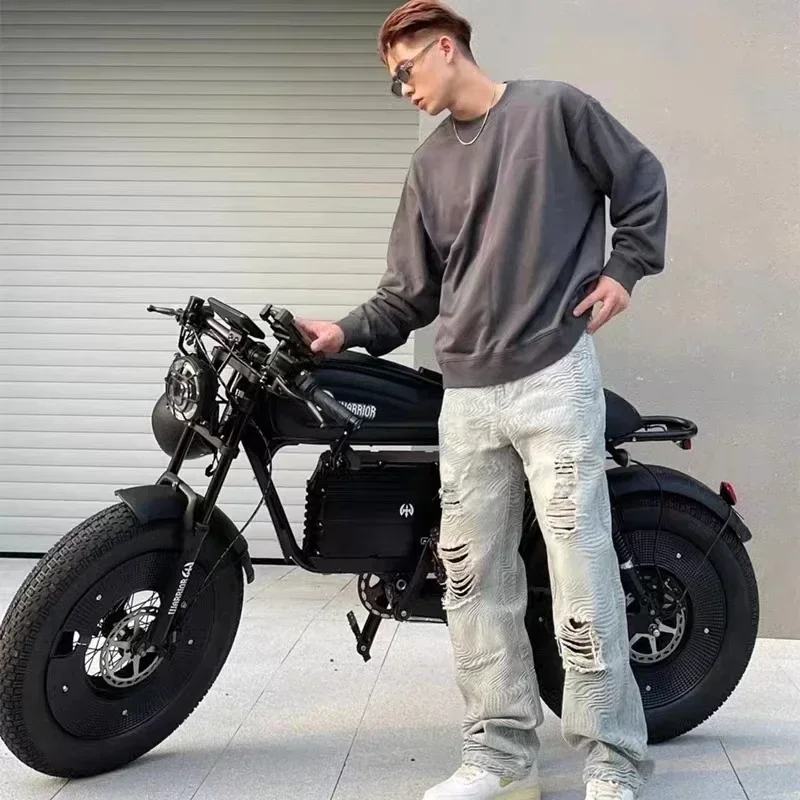Electric Bike 3000W 60V45AH Black Warrior Motorbikes 20inch Fat Tyre Adult Road Hydraulic brake E-bike Adult Road Electric Bike - Image 3