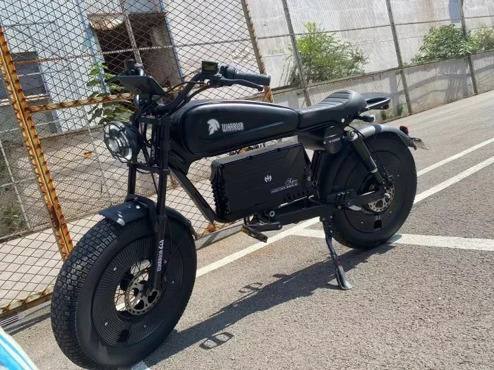 Electric Bike 3000W 60V45AH Black Warrior Motorbikes 20inch Fat Tyre Adult Road Hydraulic brake E-bike Adult Road  Electric Bike