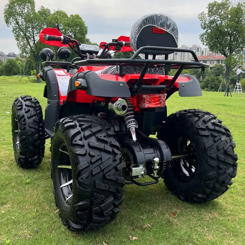 250cc Oil Cooling Quad Bike Automatic ATV with CE - Image 4