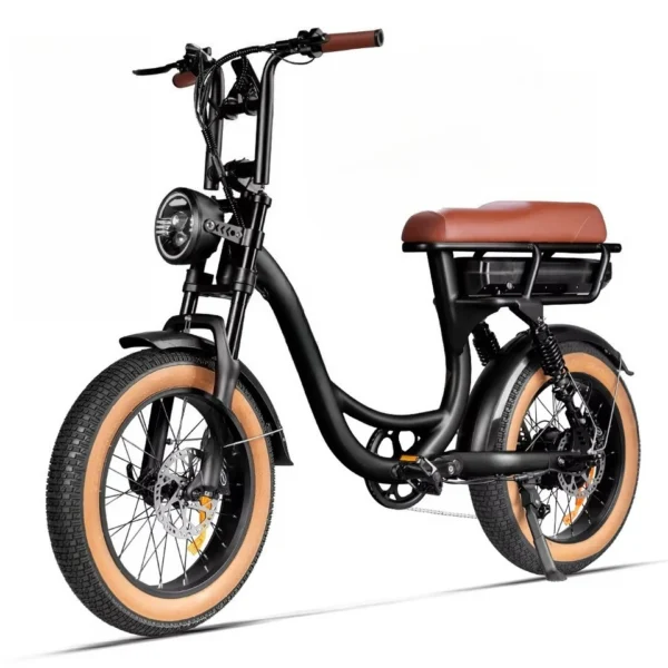 Hot Sale US EU NL UK PL Warehouse 48V 250W 750 1000 Ebike 7 Speed Gears 20 Inch Hydraulic Brake 7Go EB8 Fat Tire Ebike Electric