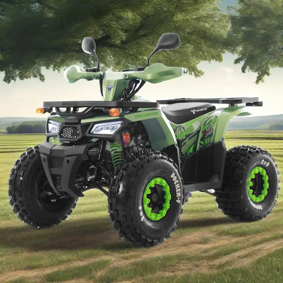 Tao Motor 2025 New Off Road Farm Cheap 4x2 ATV Quad Bike Gas Powered Cuatrimoto Quadricycle Automatic Chain Drive ATV 125cc - Image 2