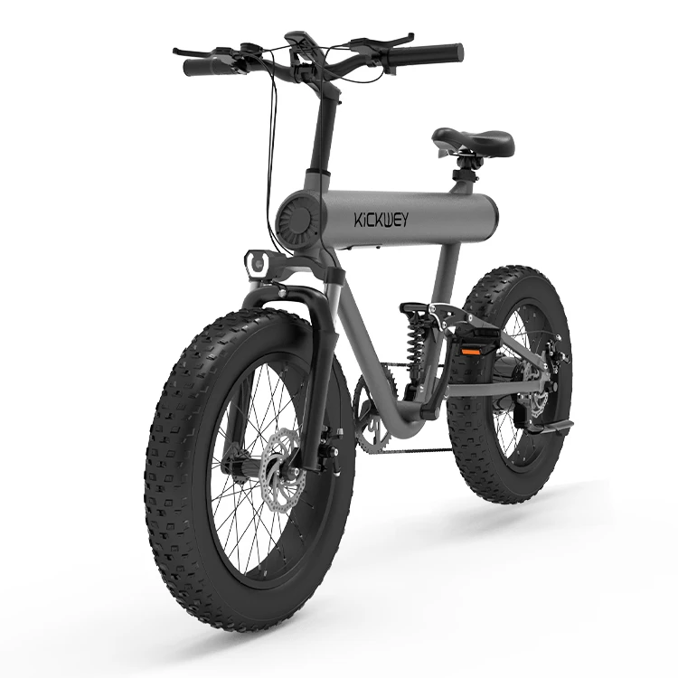 Full Suspension Ebik Kids Electric Bike - Image 2