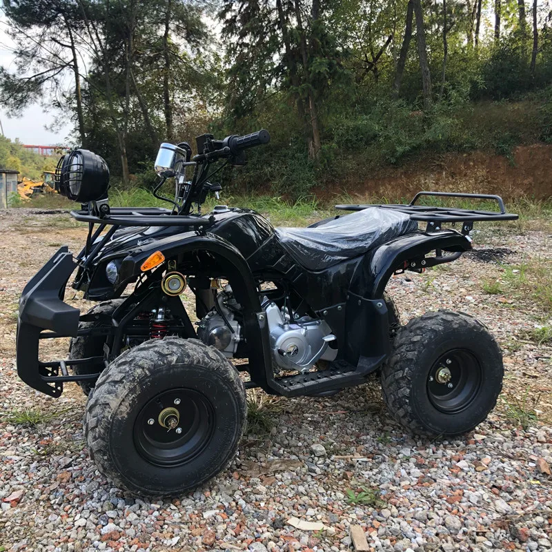 Electric 4x4 Off Road Quad Bike for Adults Zero Emission Low Noise Long Range ATV - Image 5