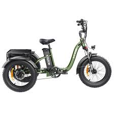 Electric Tricycle 750W Motor 48V 20AH Remover lithium Battery Foldable 3 Wheel Electric Bike 16 Inch Fat Tire 100km Ebike
