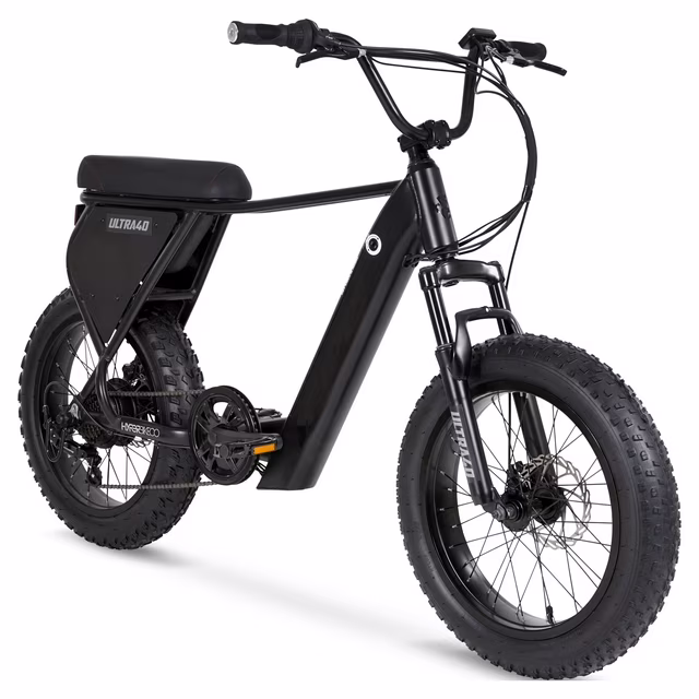 36V Bike Electric Cargo 20 Inch Cheap Electric Bicycle Cargo - Image 3
